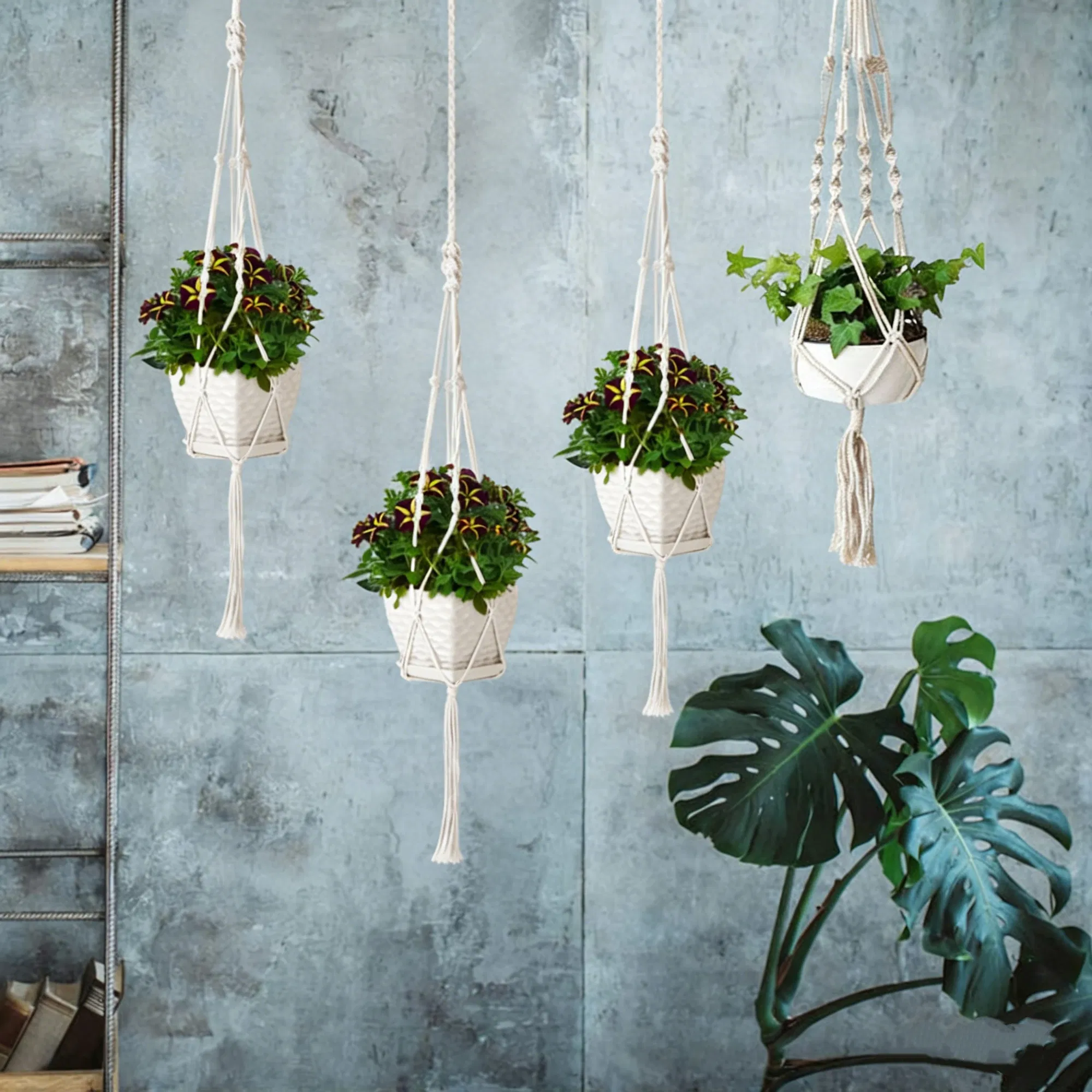 4 PCS Heavy Duty Hanging Plant Holder Natural Cotton Rope Planter Basket with Hanging Ring,Eco-Friendly Hanging Planter Basket Durable Cotton Rope Plant Hanger Space Saving for Indoor Outdoor Garden photo 5