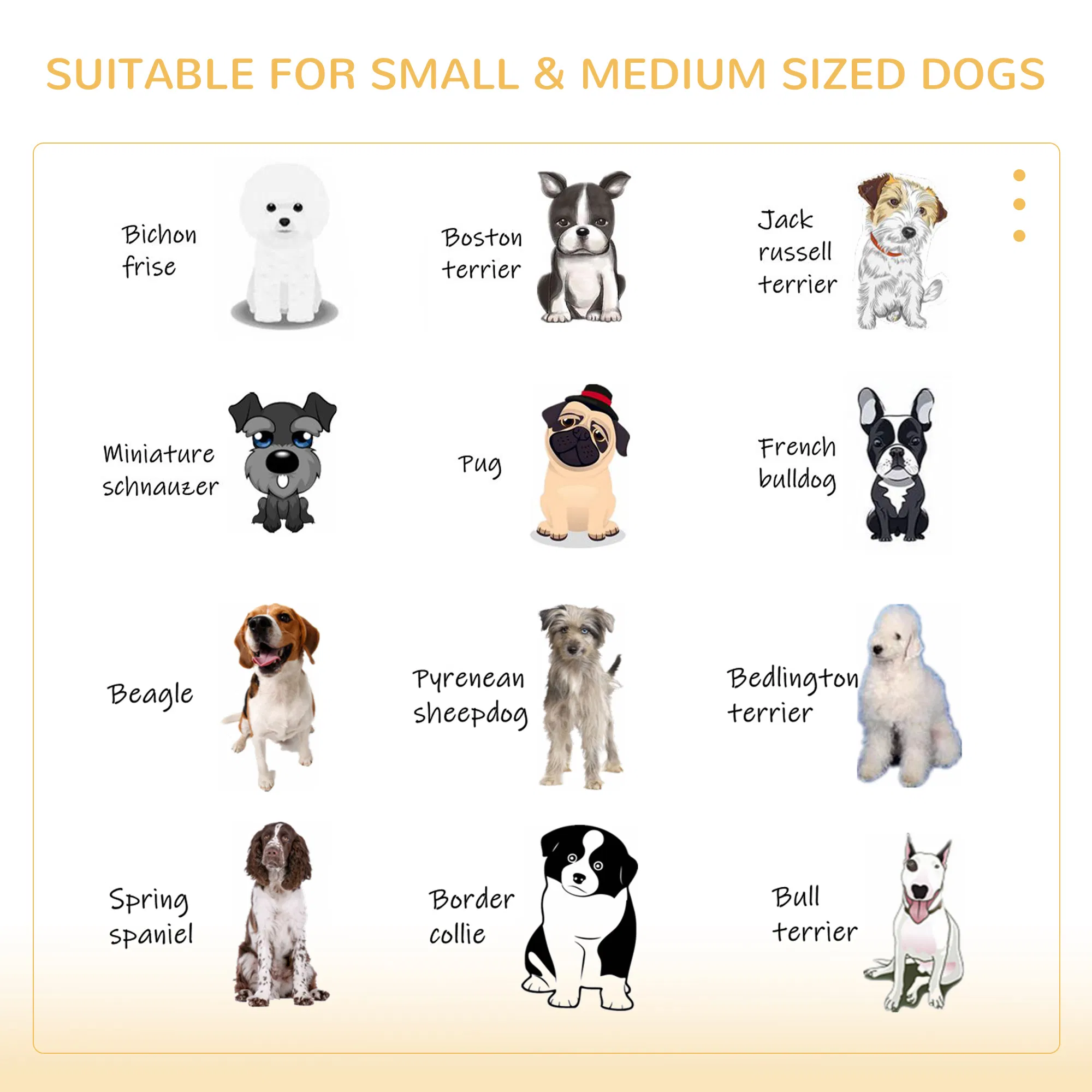 Dog Kennel(No shipments on weekends) photo 6