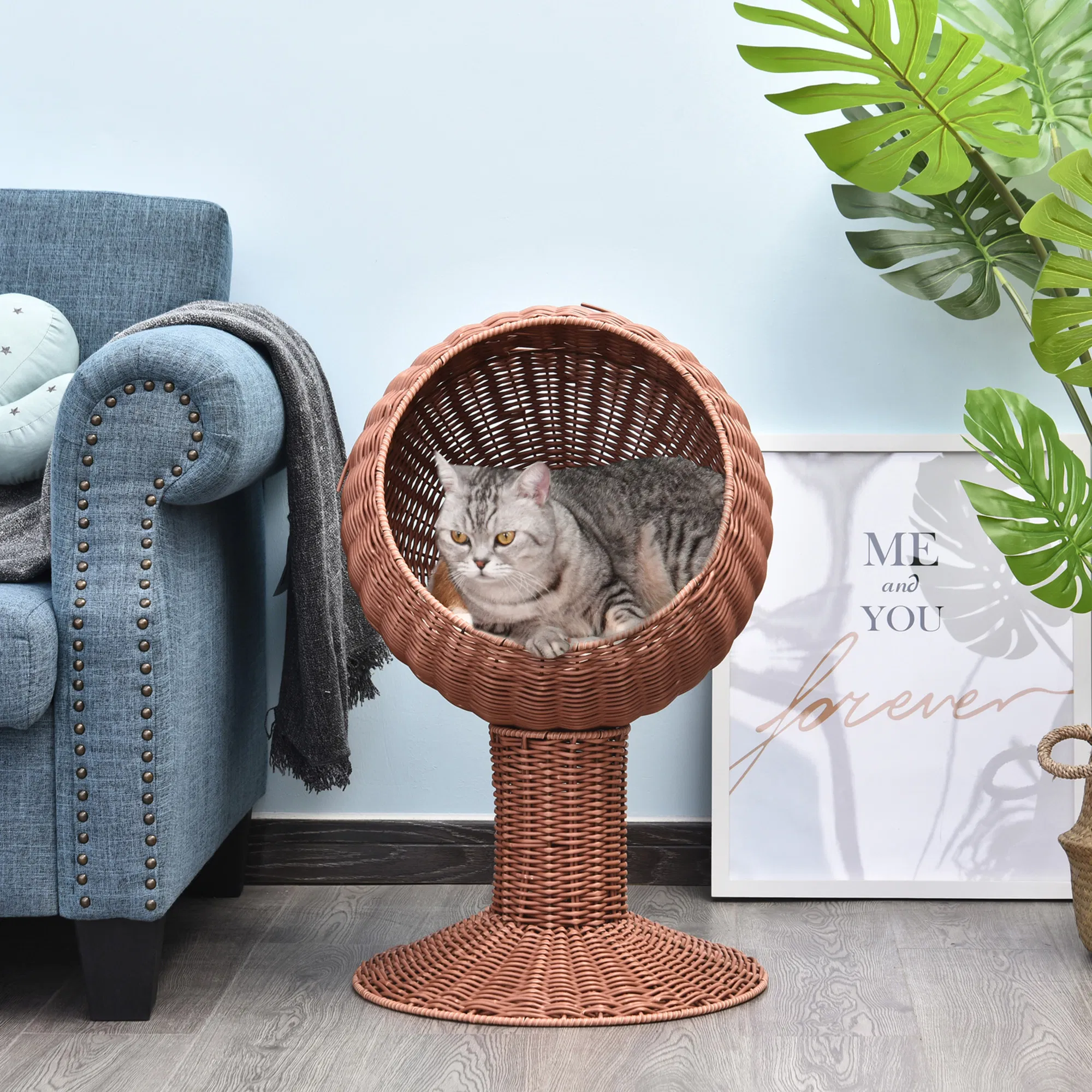 Pet Cat Bed/Cat House (No shipments on weekends) photo 3