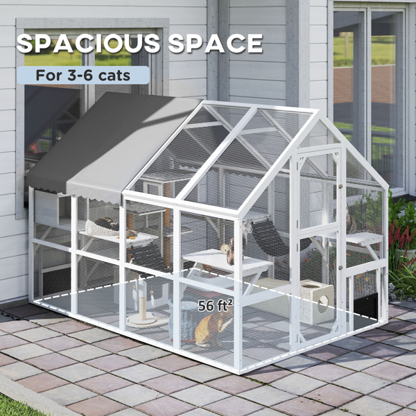 Cat House photo 6