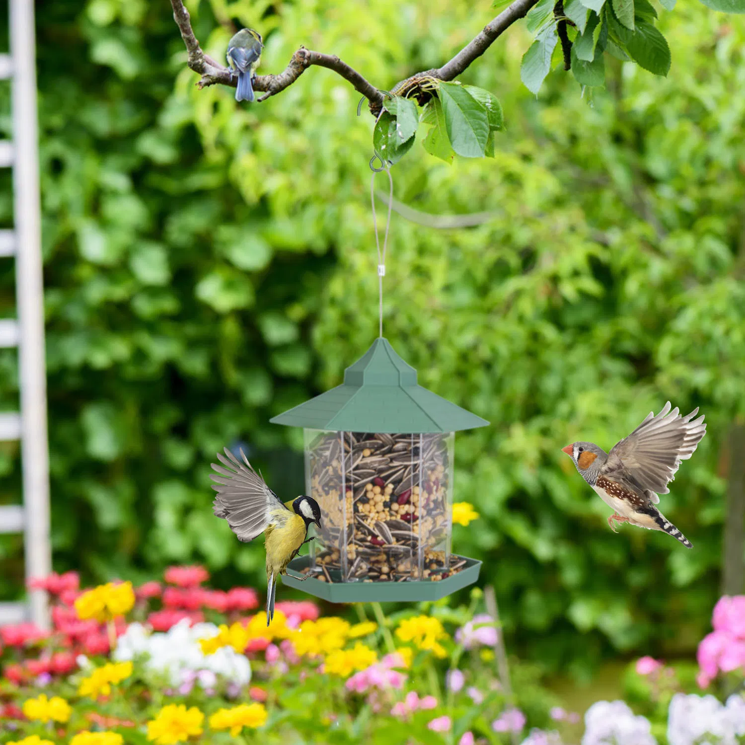 Hanging Gazebo Wild Bird Feeder Outdoor Bird Seed Station with Large Capacity 6 Feeder Ports for Garden Patio Park Weatherproof Easy To Refill photo 7