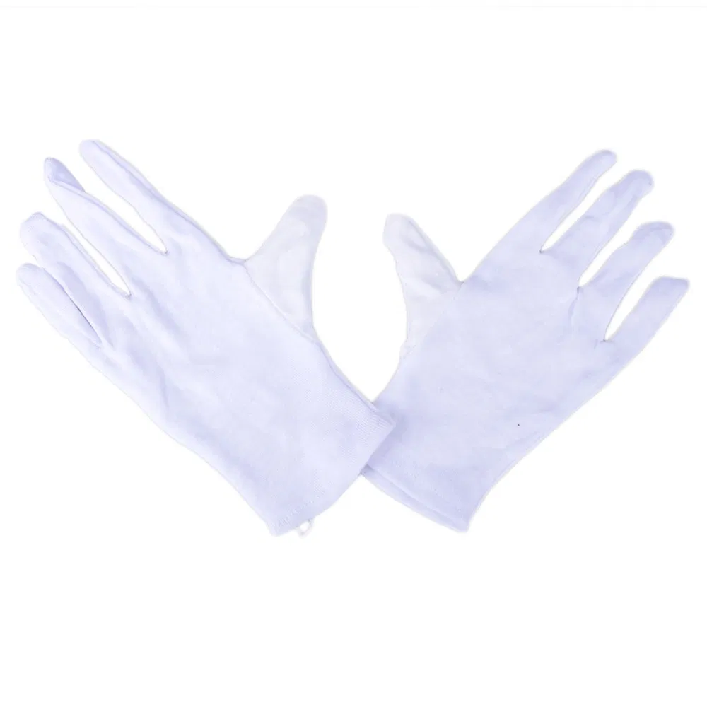 Brass B Flat Trumpet Gloves Set Blue photo 6