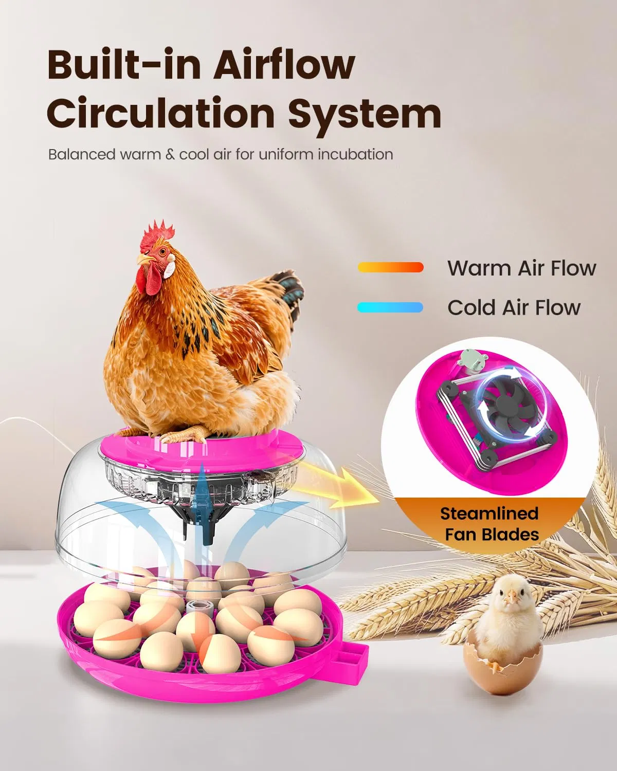 Incubator for Hatching Eggs, 18 Eggs Capacity, Incubators with Egg Candler, Automatic Egg Turner, Temperature & Humidity Control, Full Viewing for Chicken, Duck, Quail, Goose, Parrot, Pigeon photo 3