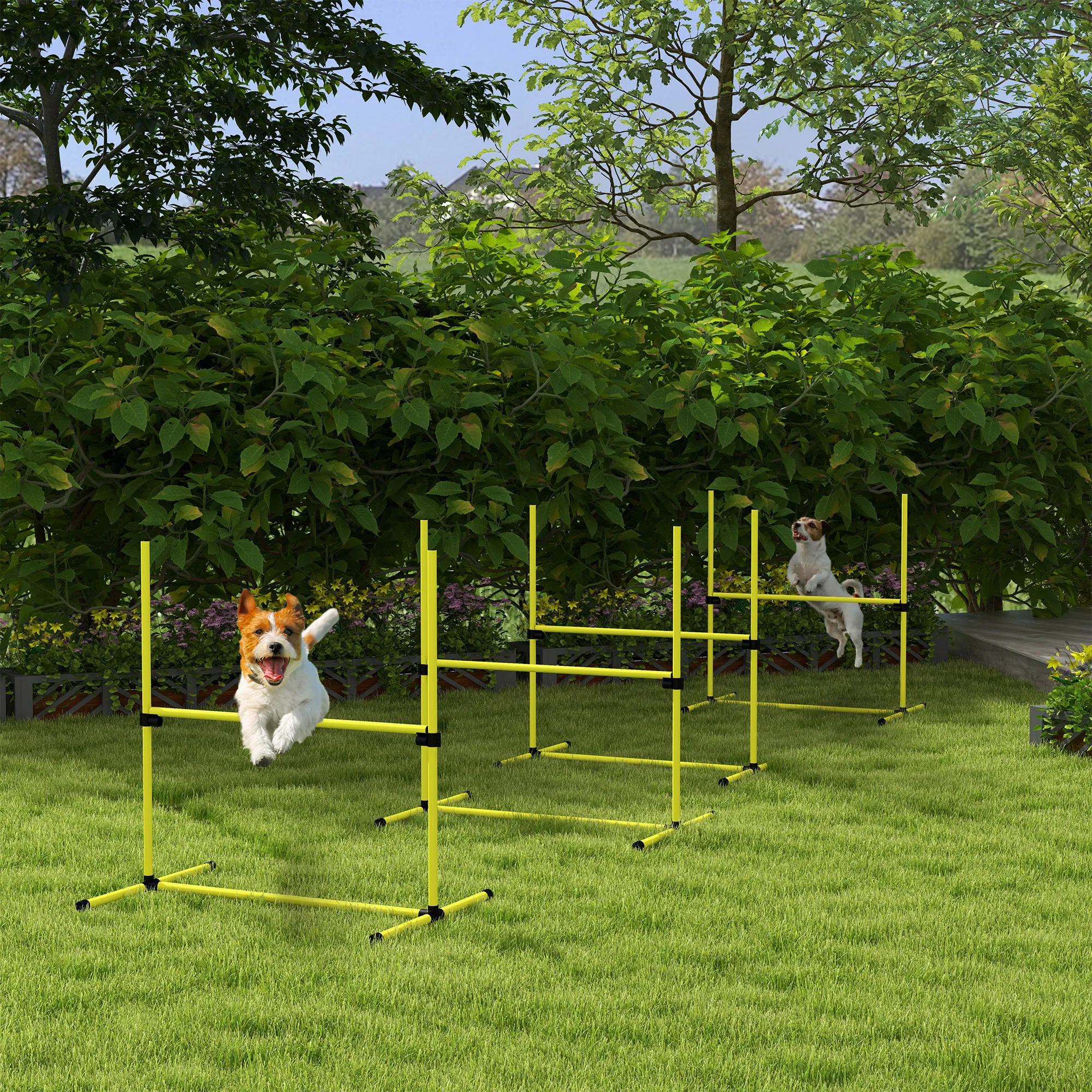 Dog agility training equipment photo 1