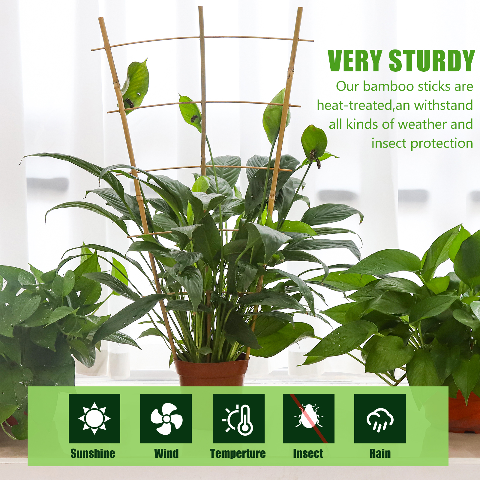 24 Inch Bamboo Garden Trellis , 3 Pack Plant Trellis 2FT For Climbing Plants, Vines, Vegetables, Flowers, Potted Plants, Natural Bamboo Indoor Outdoor Support Self-pickup Only photo 6