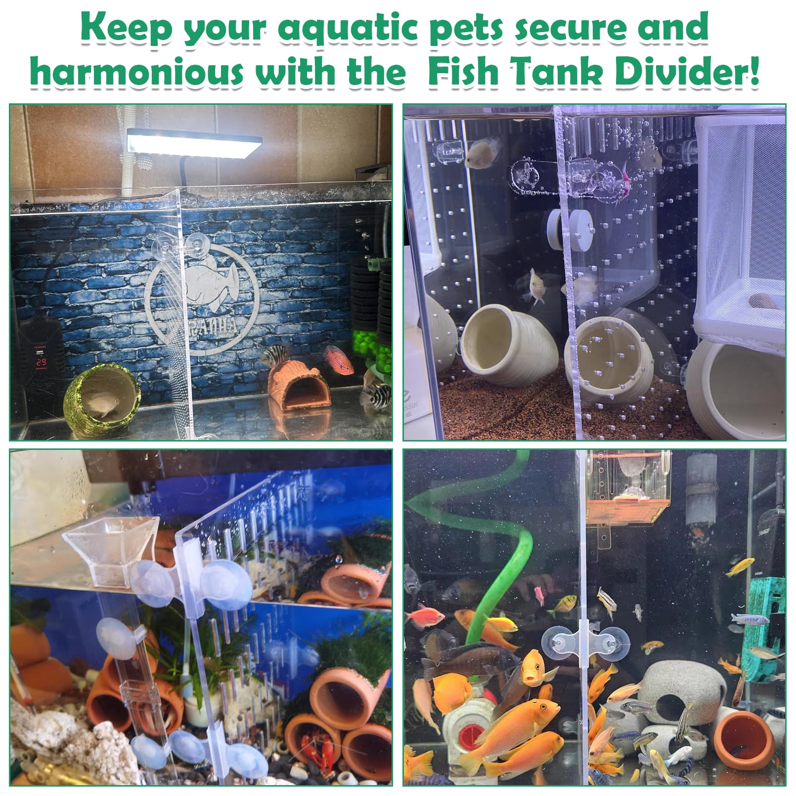 Fish Tank Divider Acrylic Aquarium Divider With 8 PCS Suction Cups, Transparent Fish Tank Separator For Betta Fish photo 6