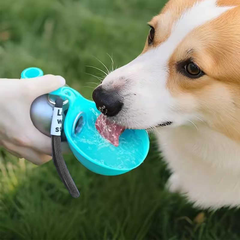 2-in-1 Portable Dog Water Bottle Stainless Steel With Foldable Silicone Bowl photo 2