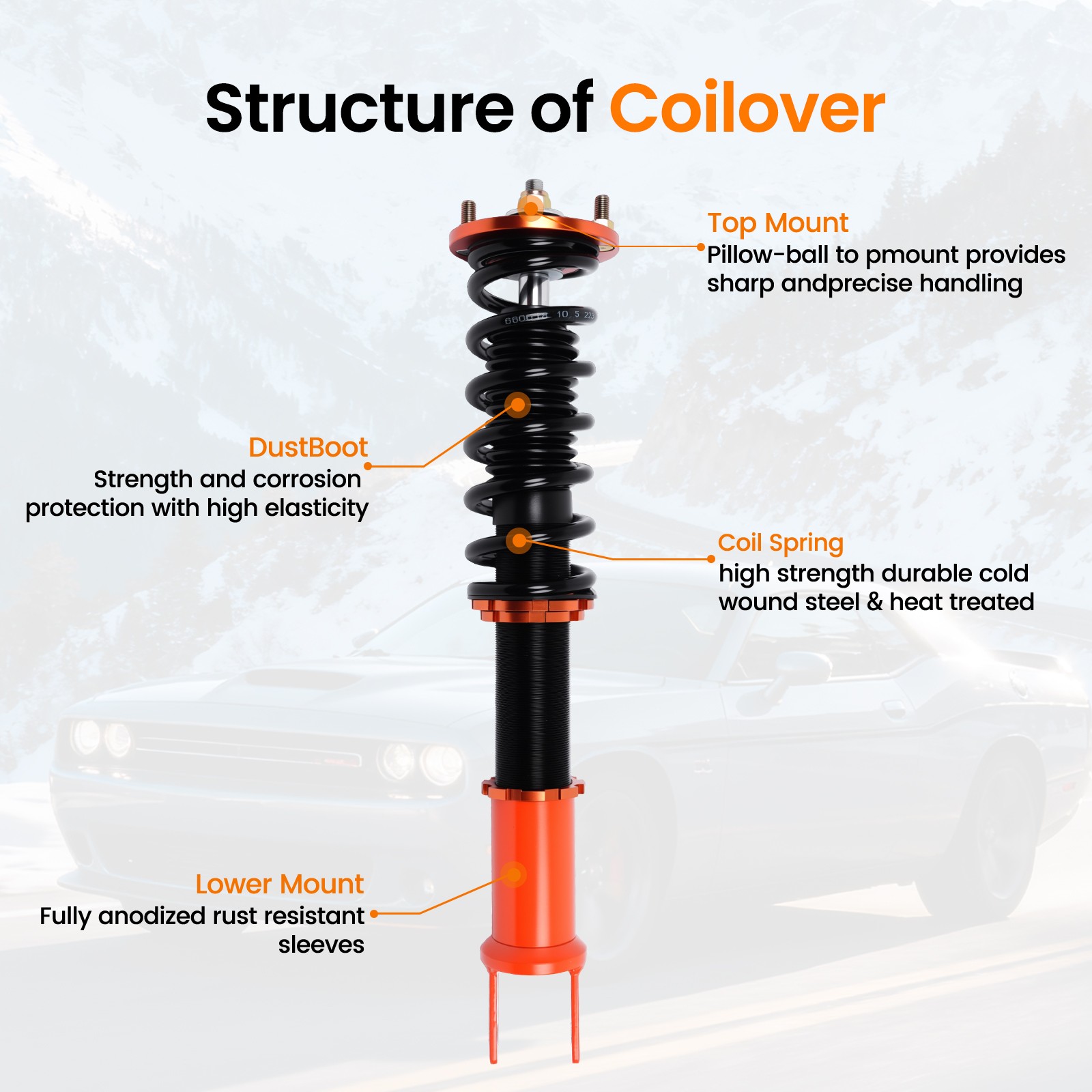 Coilover Suspension Kit For 2008-2012 -Honda Accord VIII LX SE LX-P Sedan CP2 CP3 photo 3