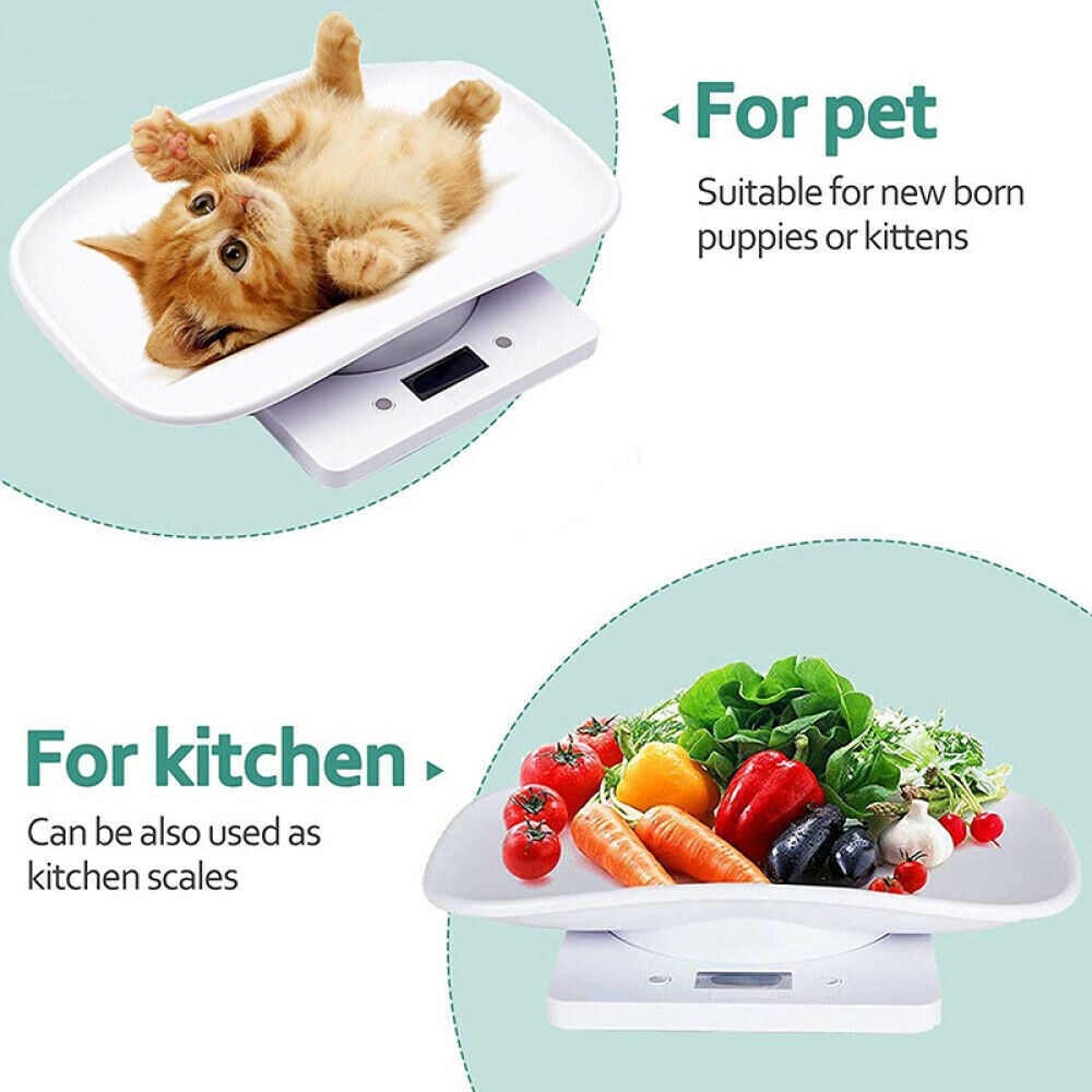 NEW Electronic LCD Digital Cat Puppy Small Pet Weighing Scales Animal Scale 10kg 1g photo 8