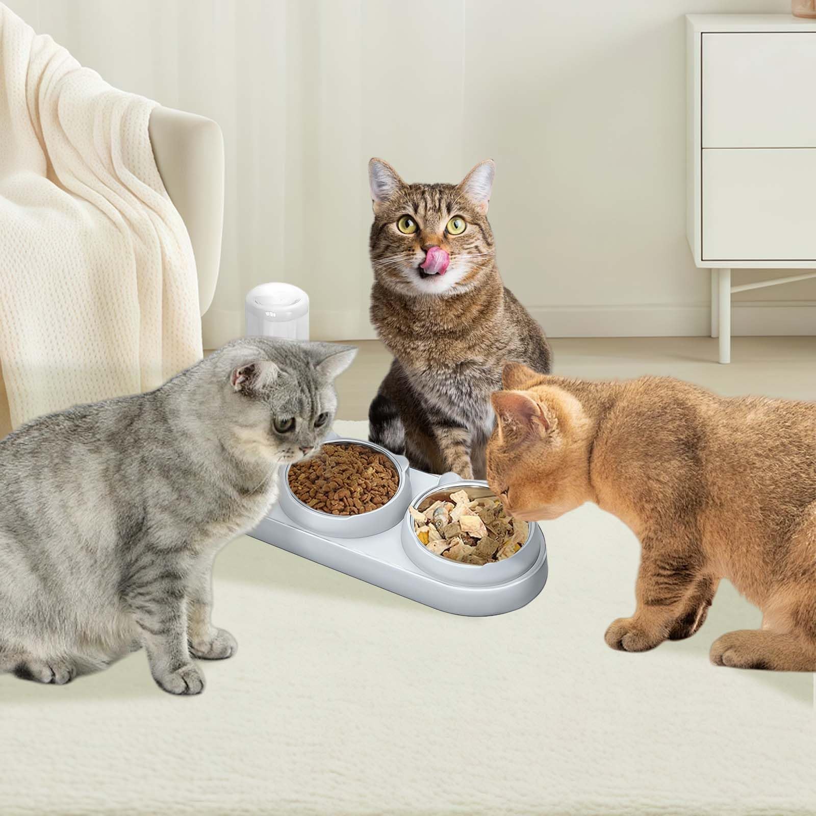 3 In 1 Cat Bowl, Cat Food And Water Bowl Set With Water Dispenser And Stainless Steel Bowls, Pet Raised Three Bowls For Indoor Cats, Small Or Medium Sized Dogs photo 2