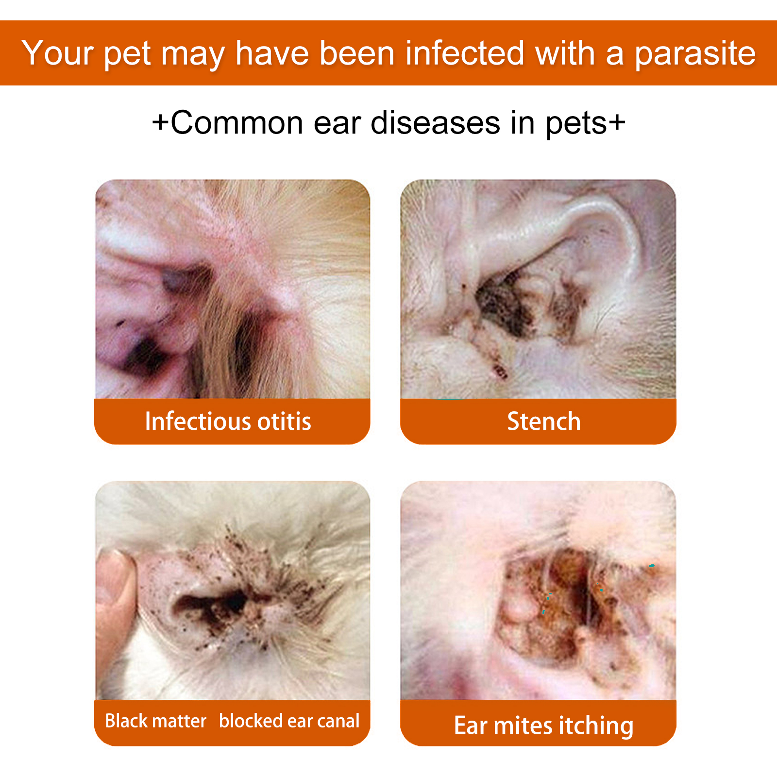 Yegbong Pet Ear Wipes, Pet Ear Cleaning Deodorizing Removing Mite And Earwax Cleaning Wipes photo 2