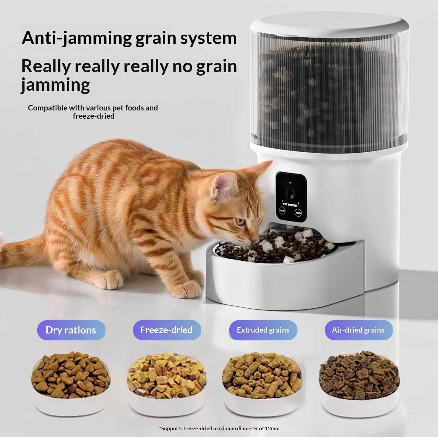 Automatic Dog Feeder photo 5