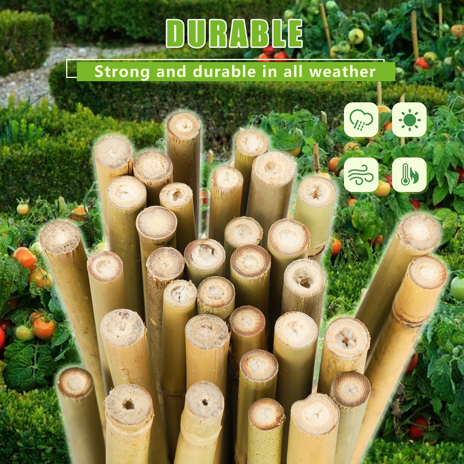 7FT, Diameter 8mm - 10mm Natural Bamboo Plant Stake, Sturdy Bamboo Poles, Durable Plant Bamboo Stake, Garden Climbing Plant Bracket 50pcs. Self-pickup Only photo 5
