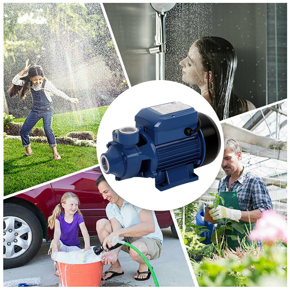 QB60 Peripheral Water Pump For Garden Boiler Car Wash Auto Irrigation House photo 4