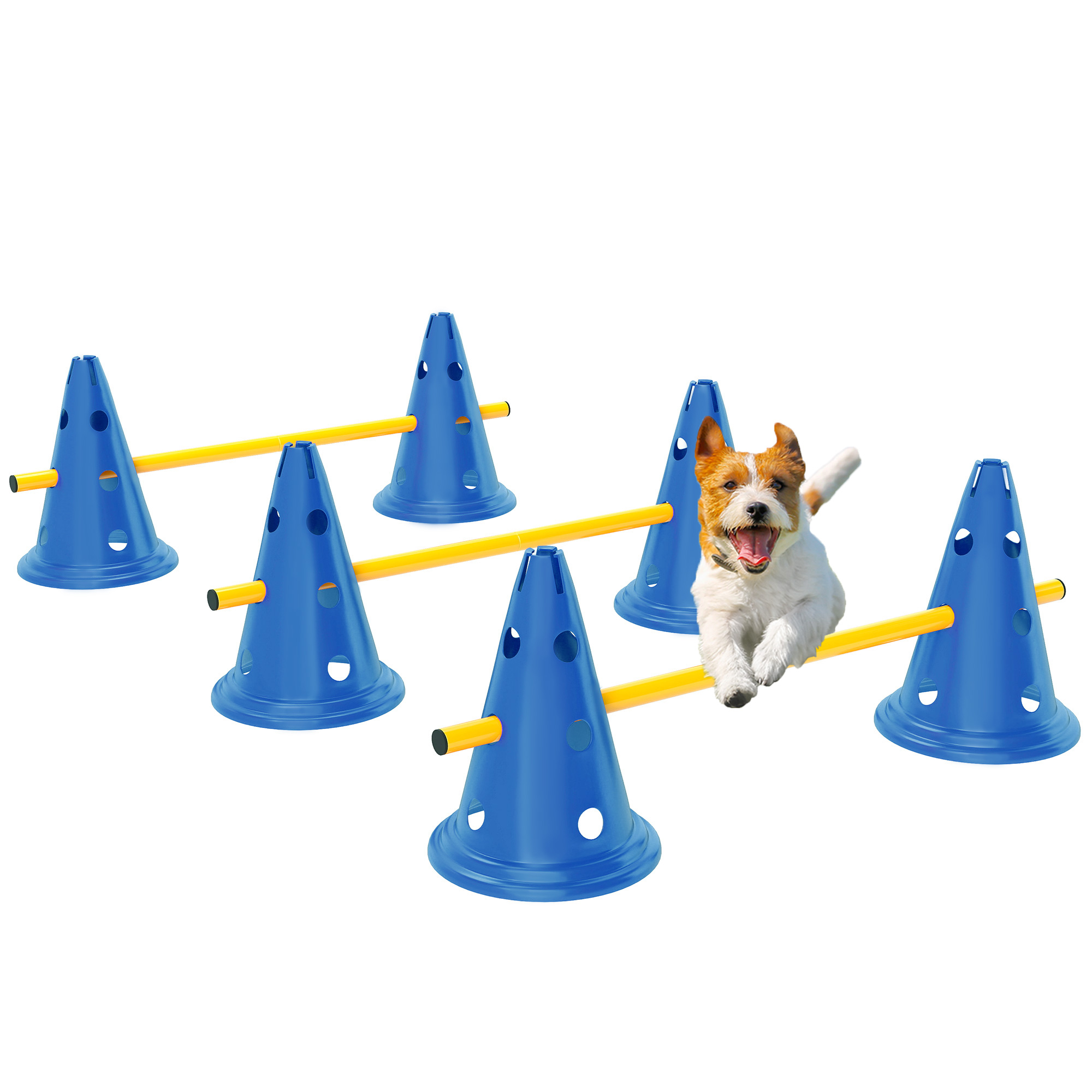 Dog Agility Equipment Set Of Six Cones, Six Poles With Carry Bag, Three-Piece Adjustable Height Jumping Obstacles, Blue photo 5