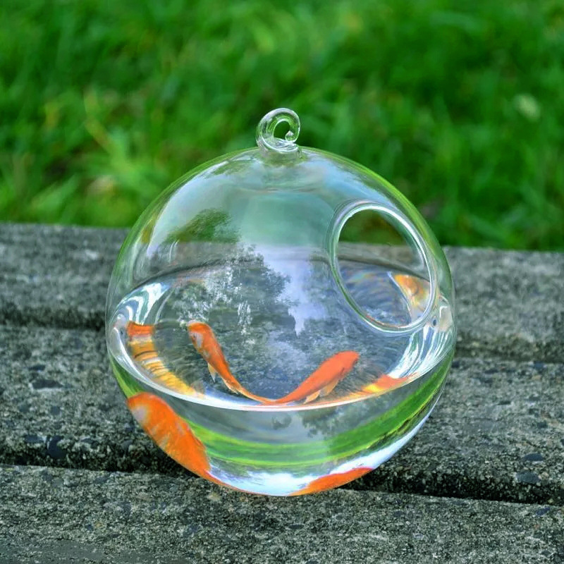 Hanging Glass Vase Fish Tank photo 2