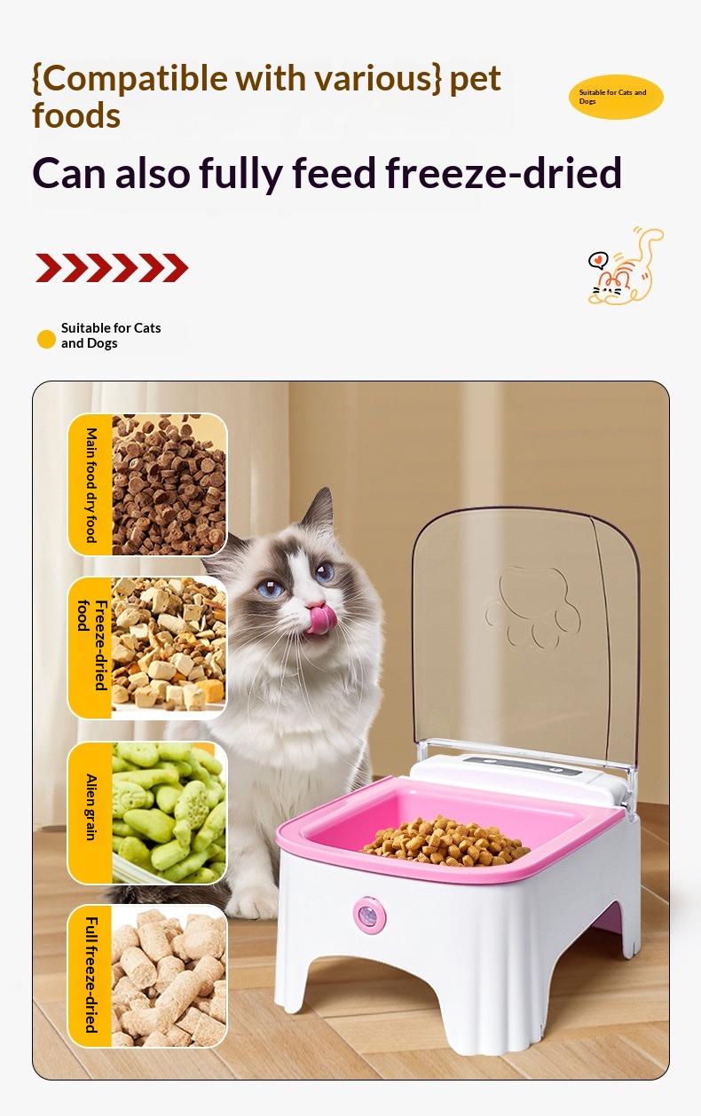 Cat Automatic Feeding Device photo 2