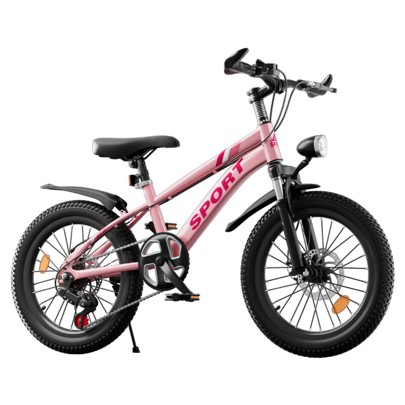 20 Inch Wheels Kids Bike 7-Speed Gears Boy Silver Bicycle Cycling Outdoor Disc Brake photo 6