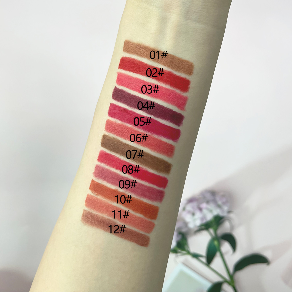 Cross-Border Amazon Wooden Twelve-Color Lip Liner Set photo 4