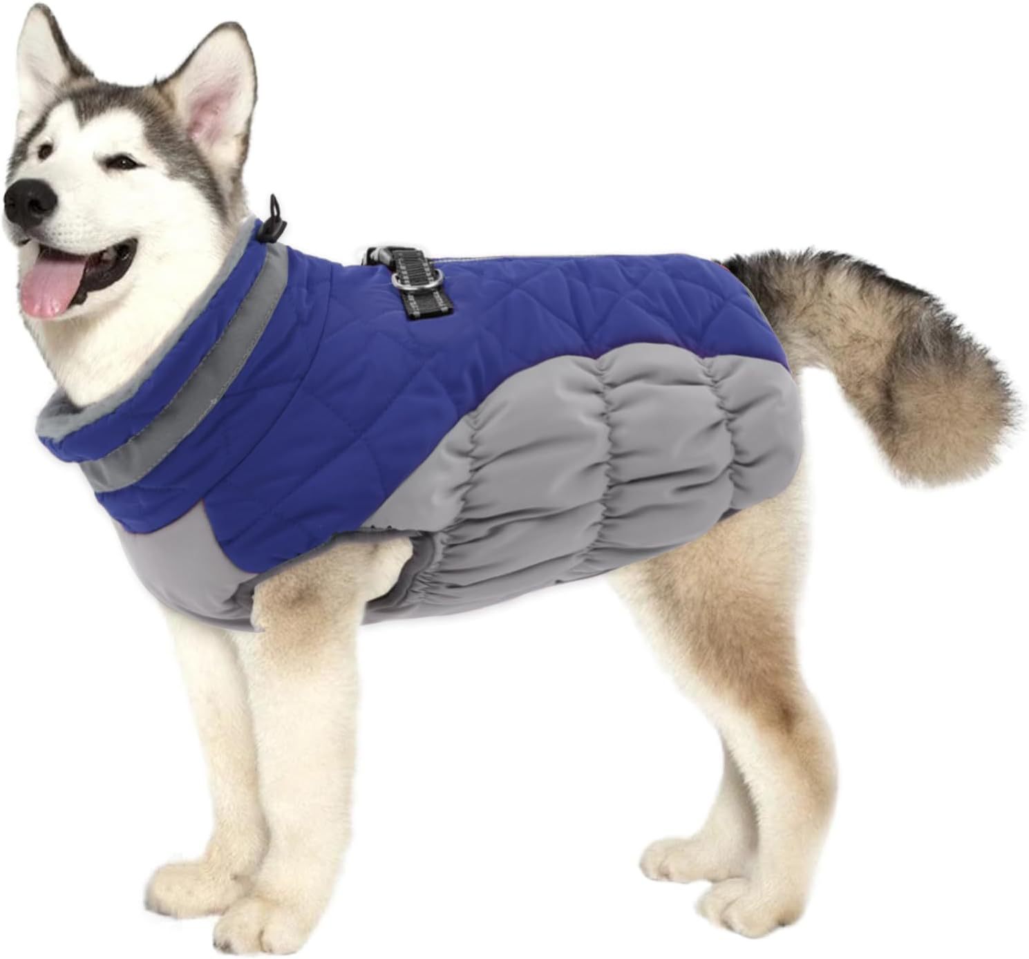 Pet Clothing Dog Padded Coat Winter Windproof Warm Dog Padded Coat photo 4