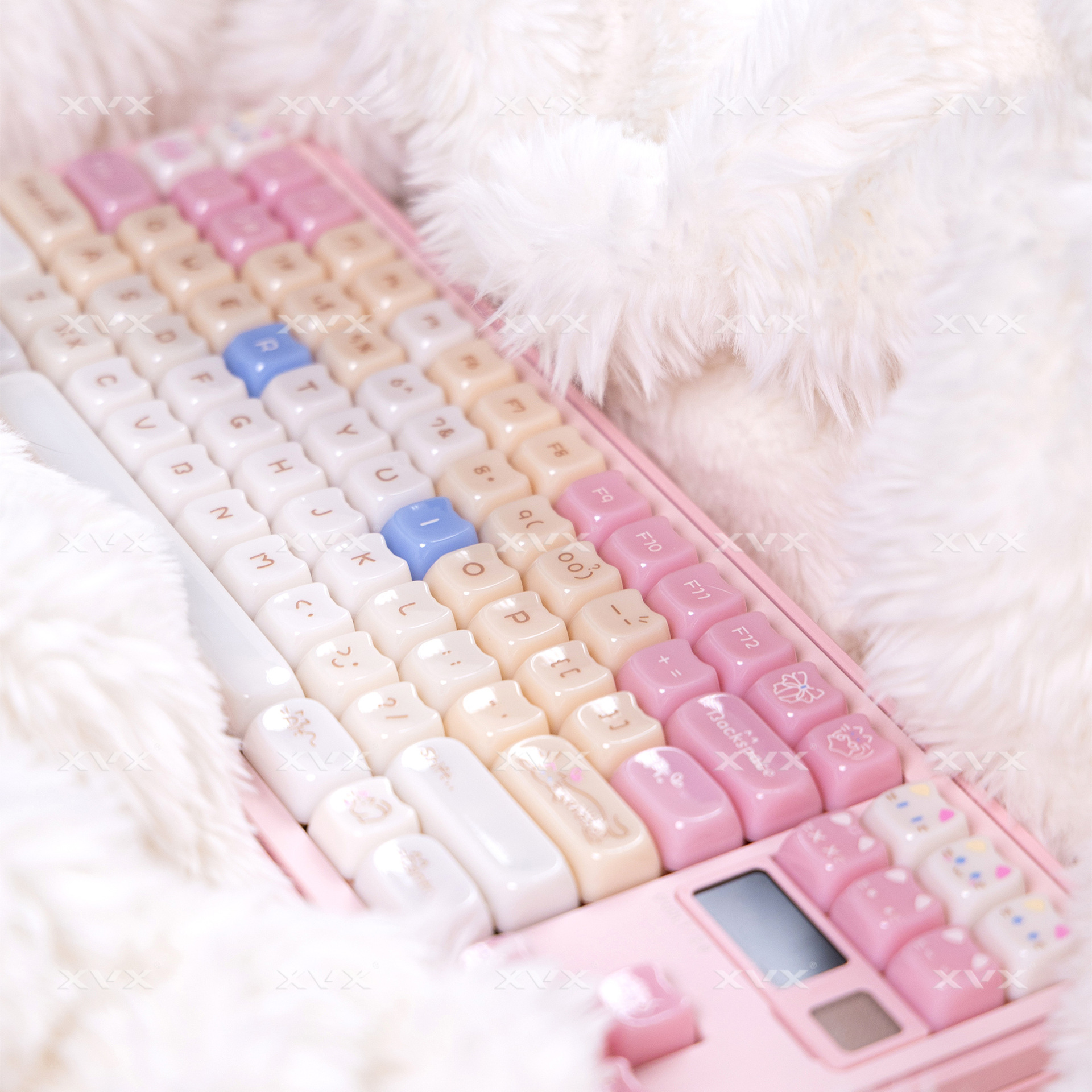 Ragdoll Cat Cute Light-colored Keyboard Caps photo 1