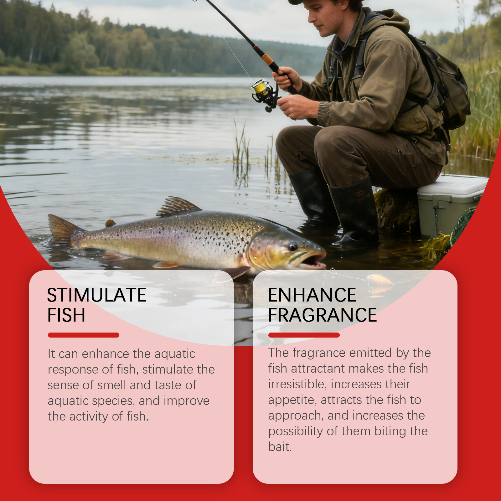 Universal Fish Stunning Bait photo 5