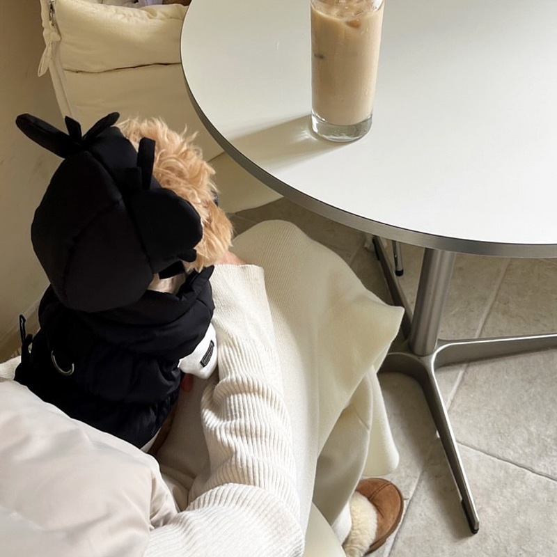 Stylish And Personalized Thickened Cotton Pet Coat photo 5