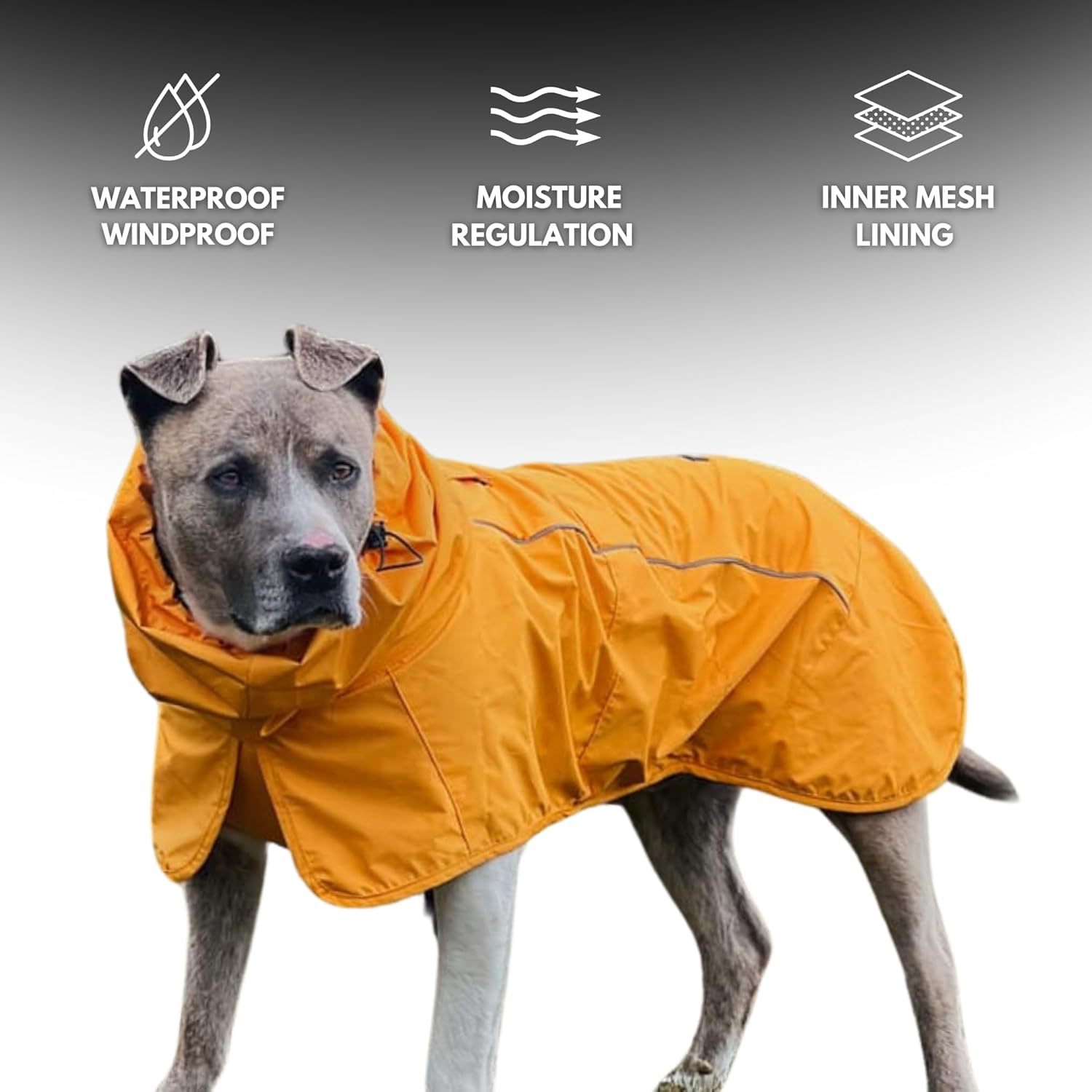 Leisure Raincoat Cloak  Outdoor Waterproof Raincoat photo 3
