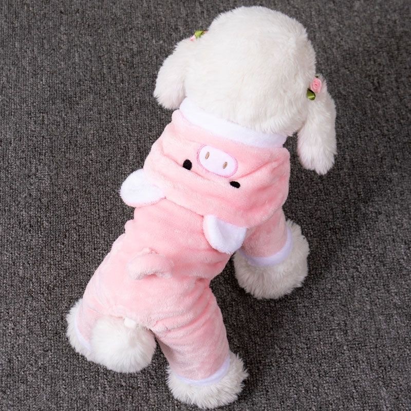 Personalized Festive New Year Pet Clothing photo 3