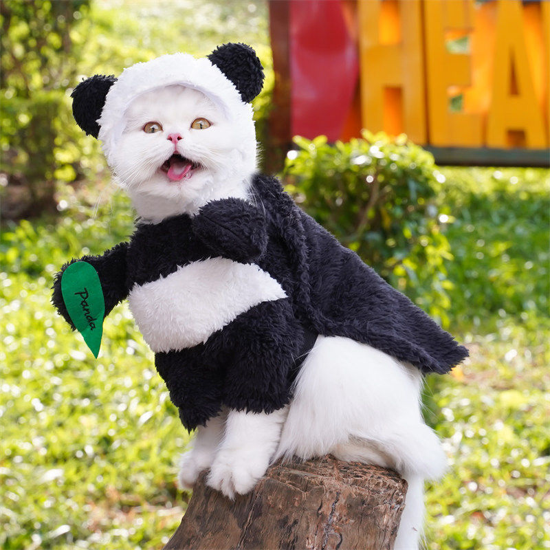 Pet Panda Standing Transformation Costume For Small And Medium-sized Dogs photo 3
