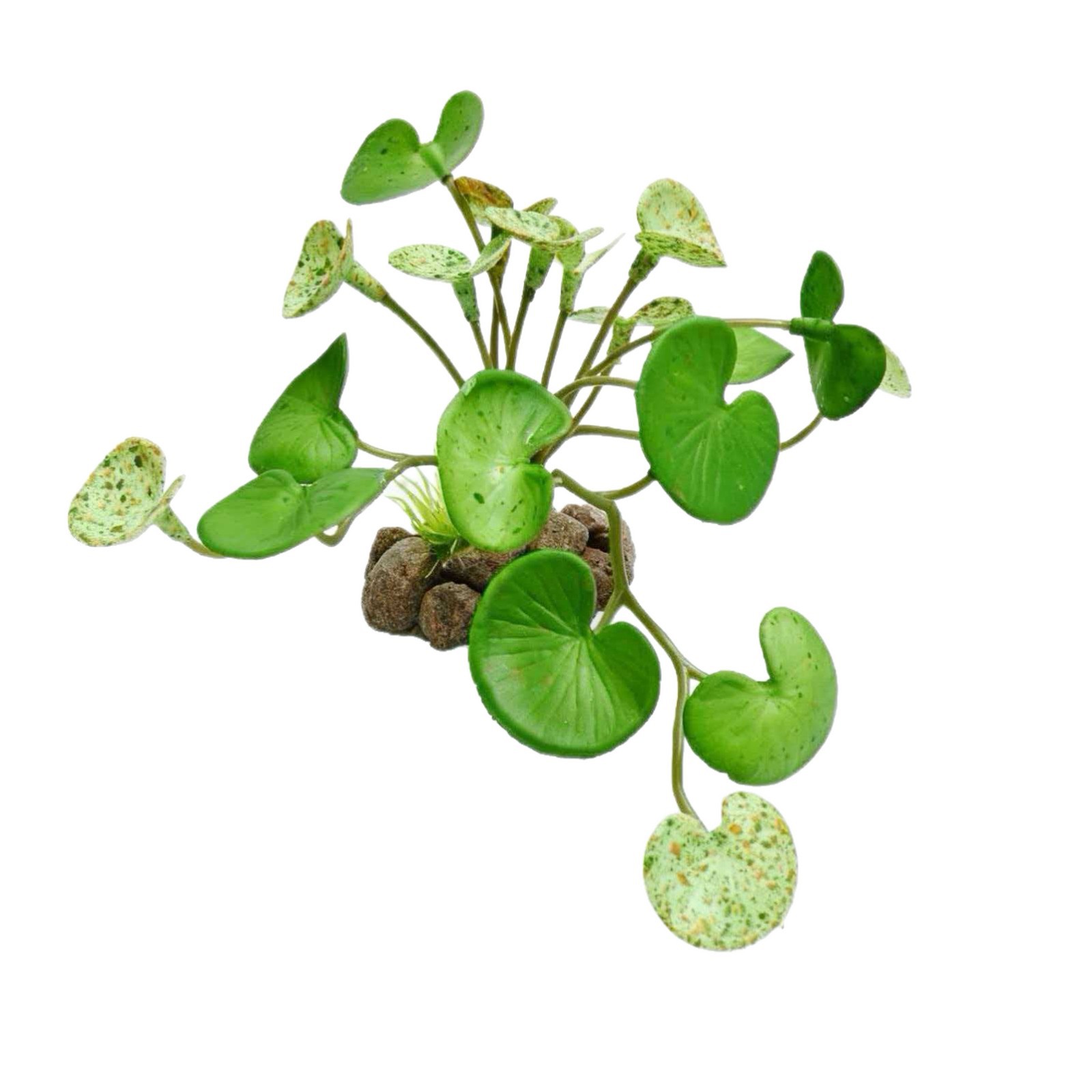 Home Decor Fish Tank Landscaping Plant Ornament photo 6