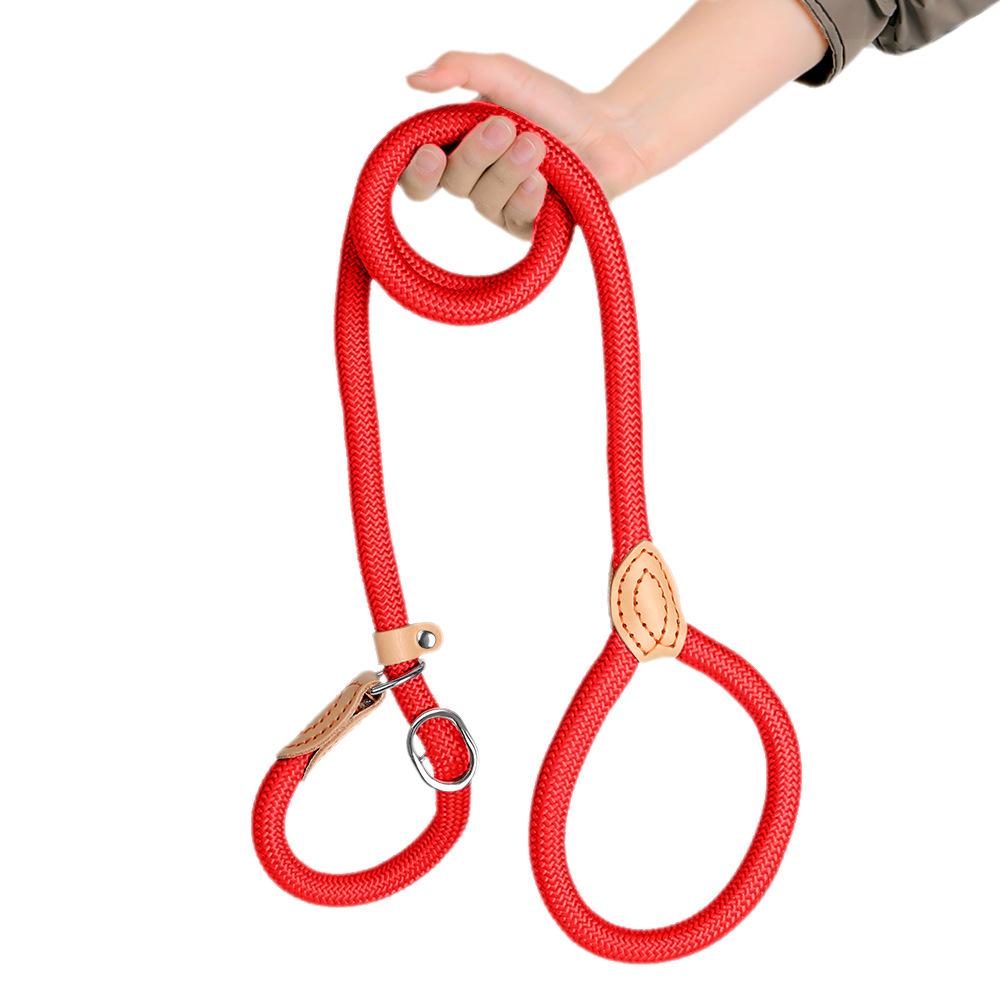 Extended And Thickened Pet Leash For Dogs photo 5