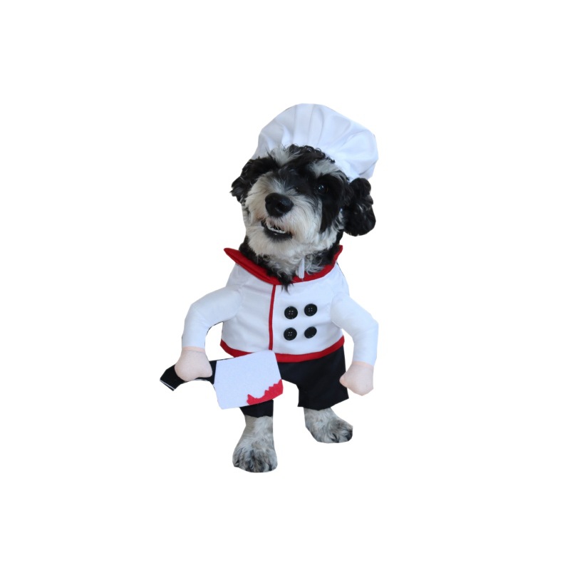 Winter Cotton Coat For Pet Dogs photo 3