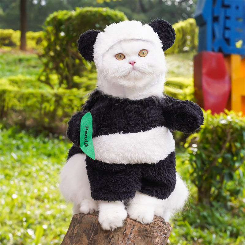 Pet Panda Standing Transformation Costume For Small And Medium-sized Dogs photo 6