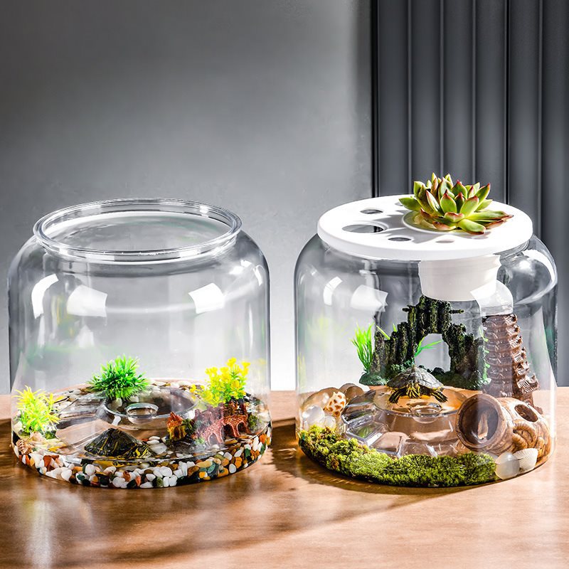 Transparent Plastic Ecological Desktop Landscaping Feeding Fish Tank photo 1