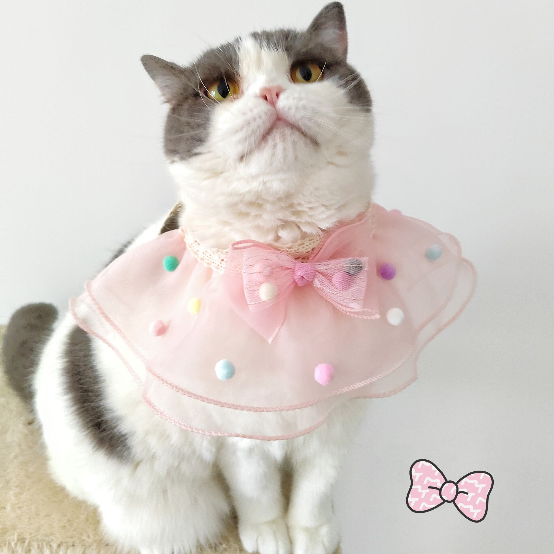 Cat Collar Bow Summer Decoration Dog Scarf Lace Pet Accessories photo 3