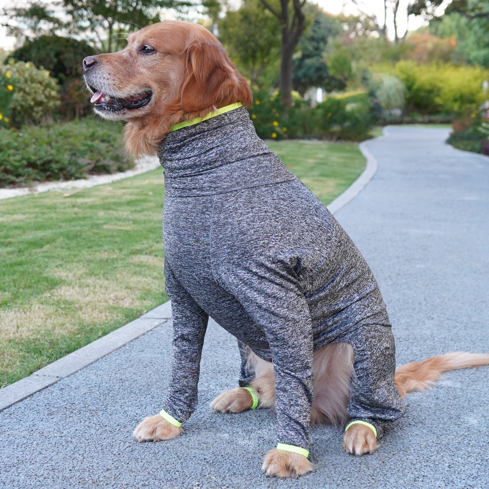Border Collie And Golden Retriever Large Dog Four-legged Coat That Doesnt Attract Fur photo 2