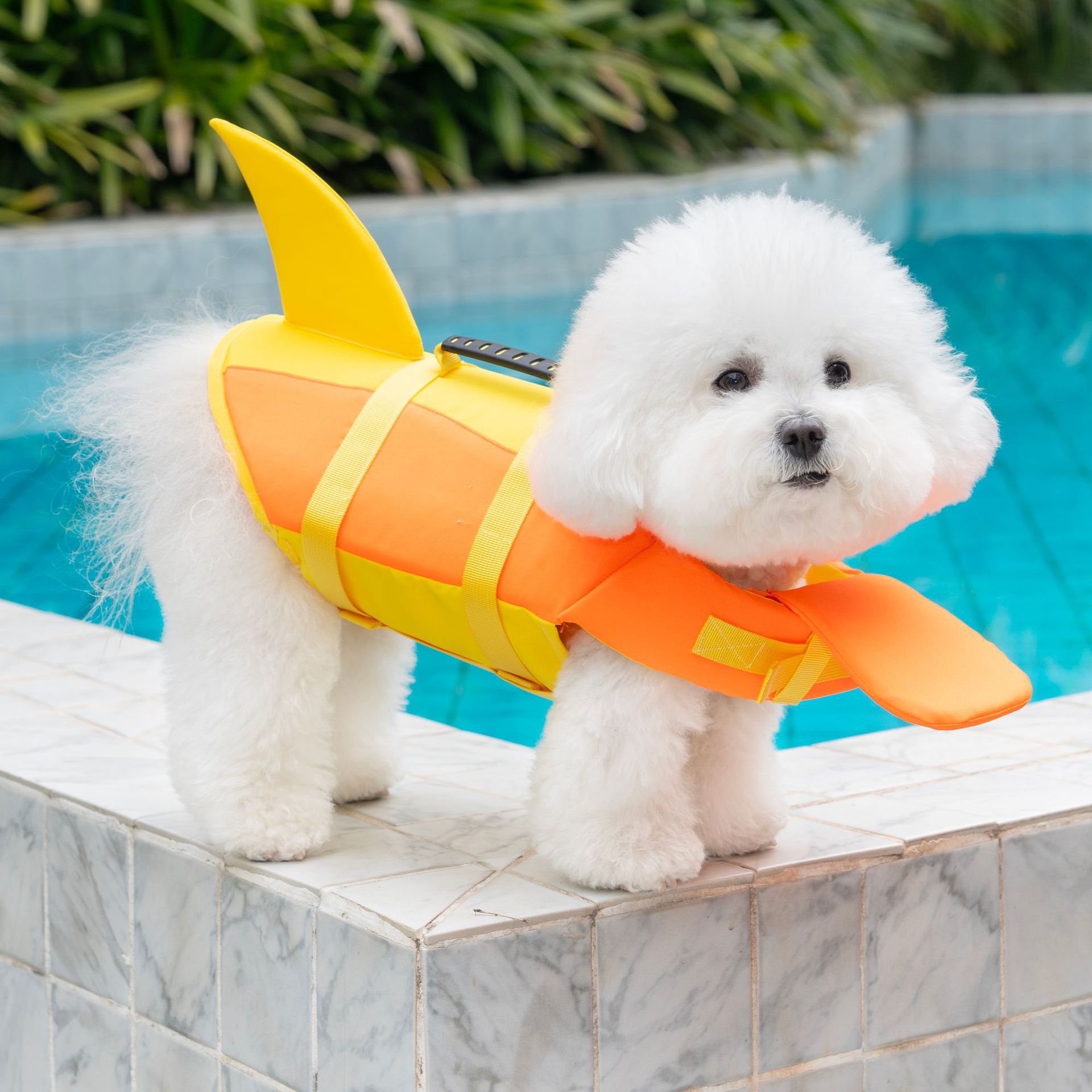 Pet Life Jacket Pet Supplies Dog Life Jacket photo 3
