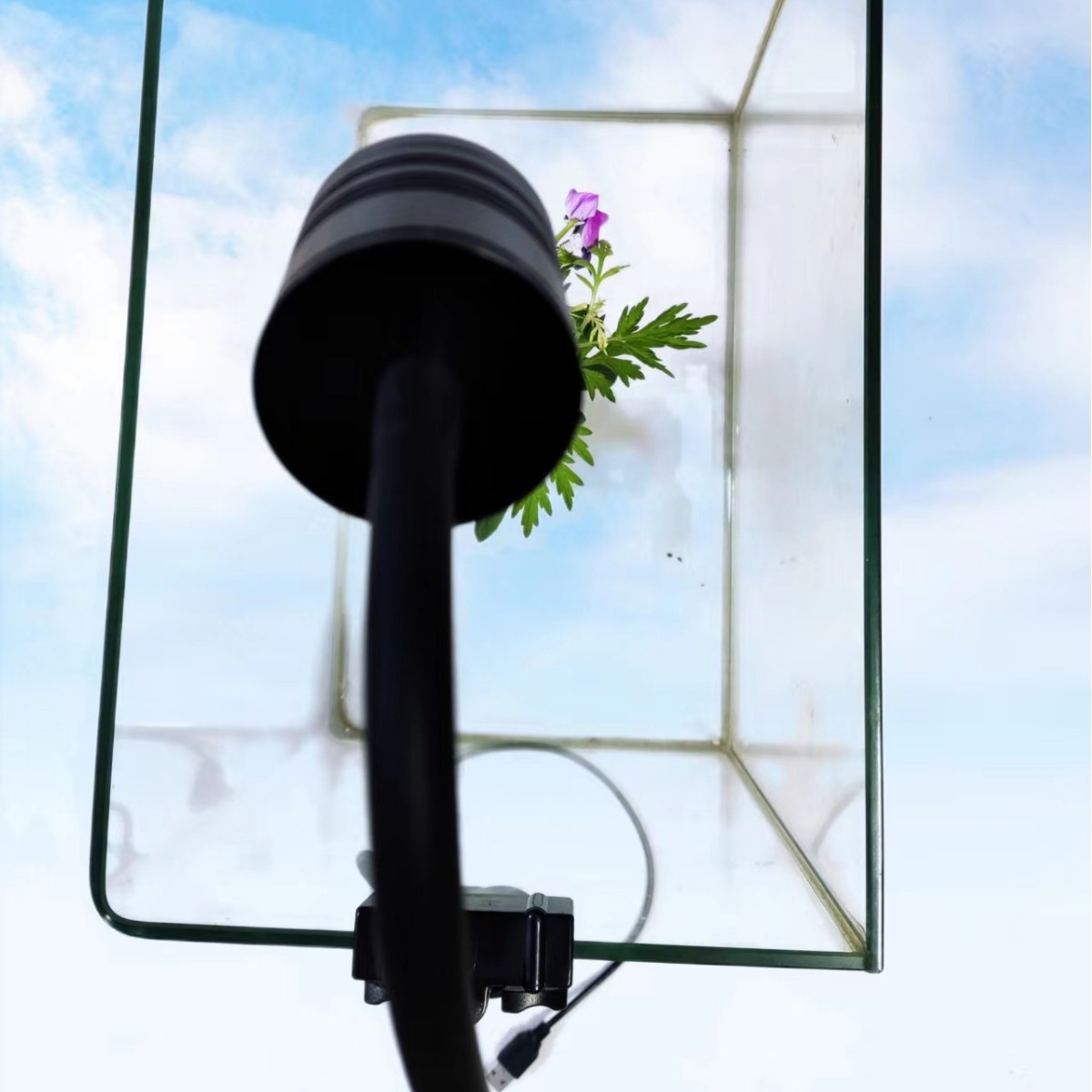 Cyclically Timed Dimmable Aquatic Plant Lighting Spotlight For Fish Tanks photo 3