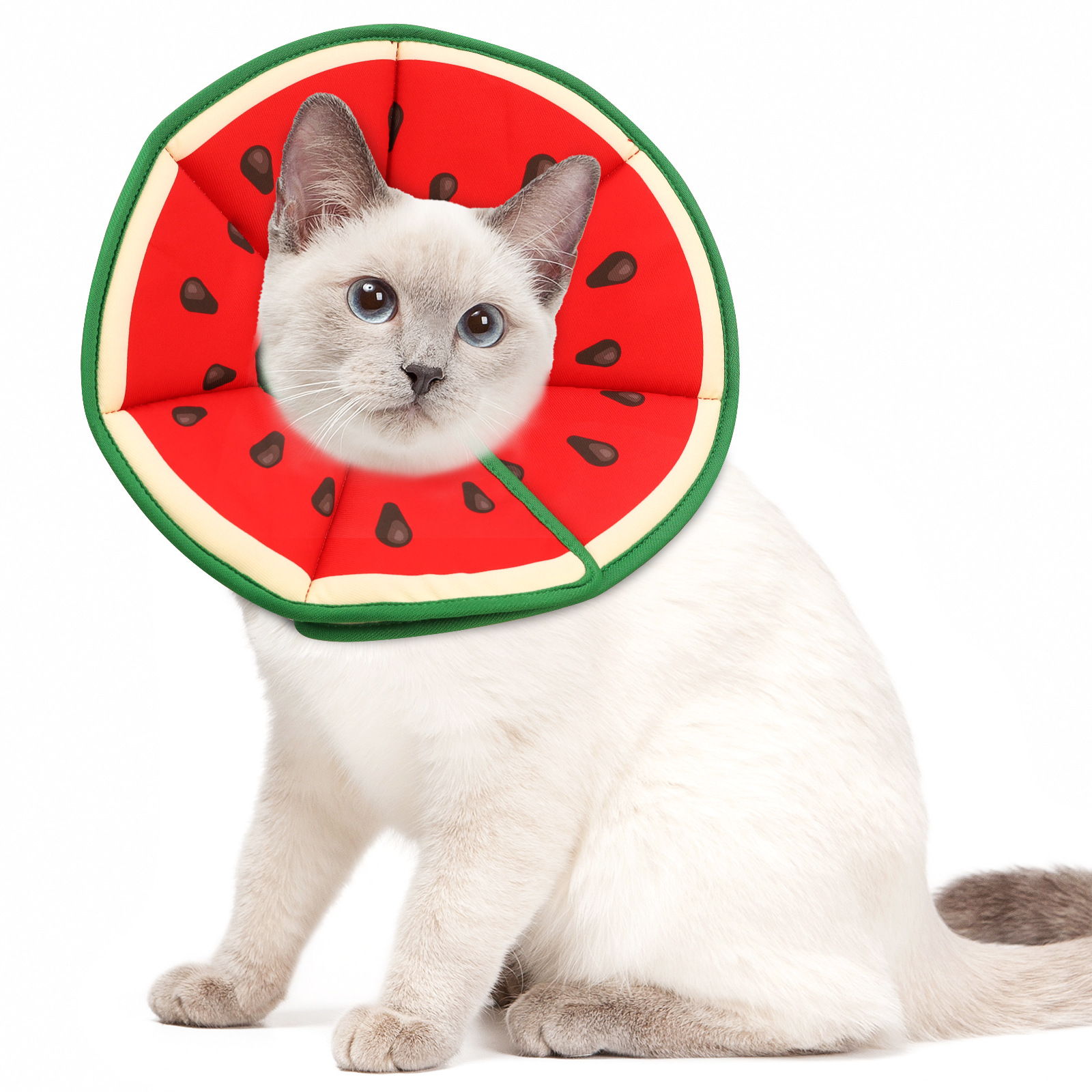 Cartoon-printed Elizabethan Collar Pet Protector photo 8