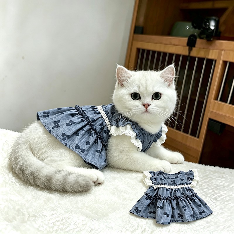 Cat Clothing Lace Trimmed Dress photo 5