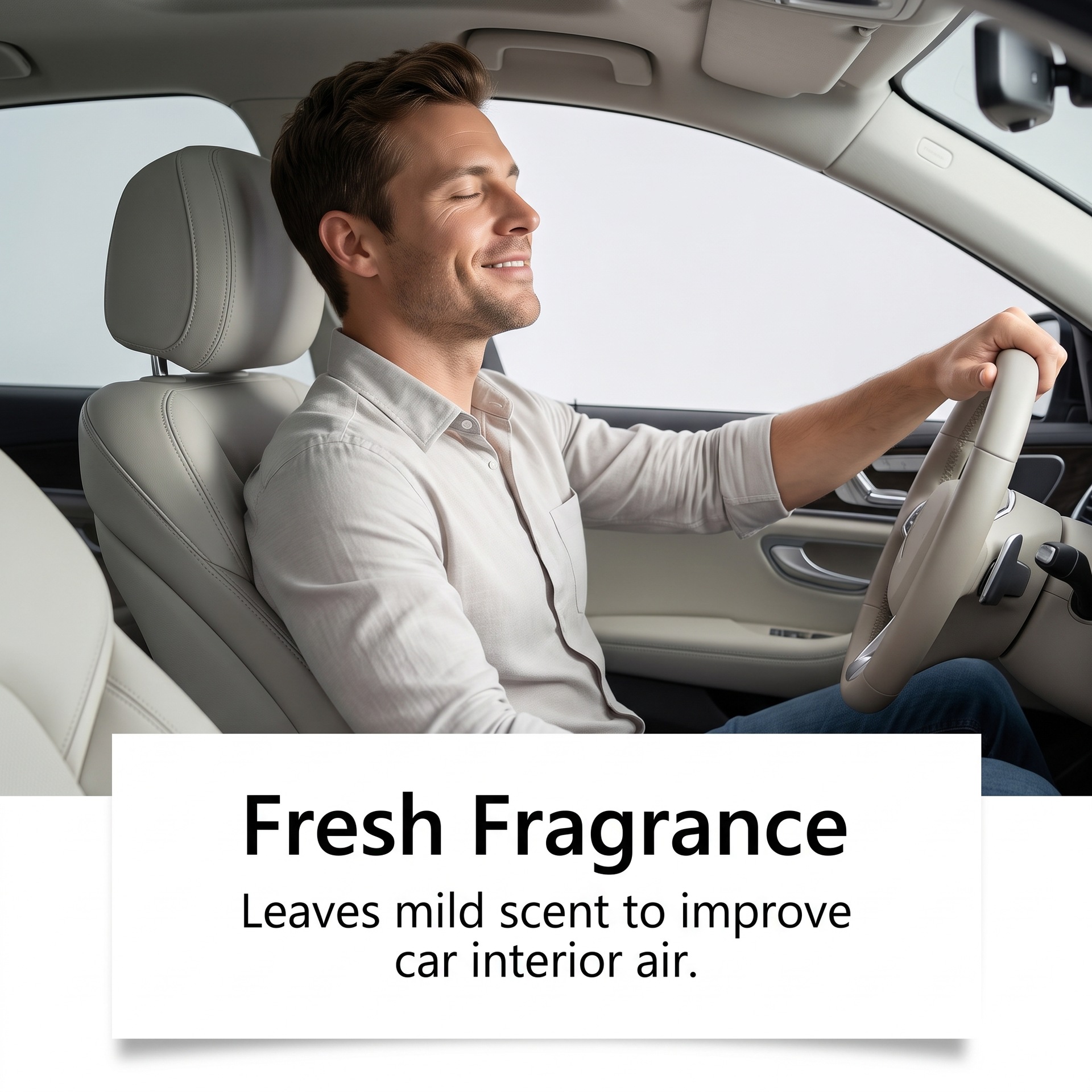 Automobile Interior Cleaning Agent photo 3
