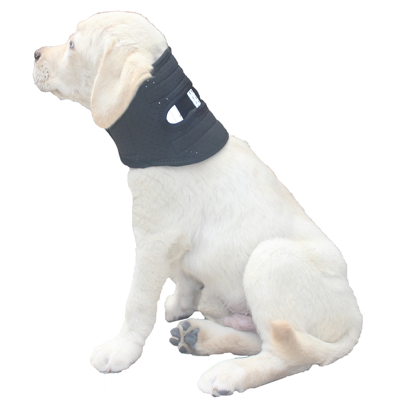 Adjustable Pet Collar For Post surgery Stability And Protection Against Neck Sprains photo 6