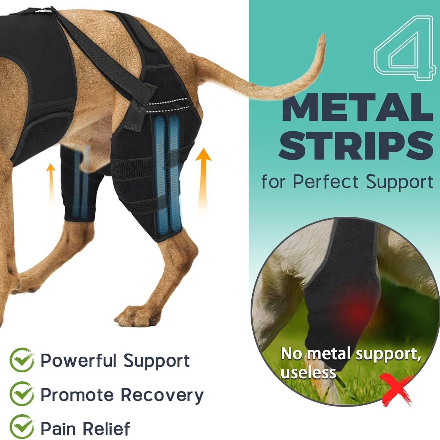 Pet Dog Rear Leg Protective Gear photo 6