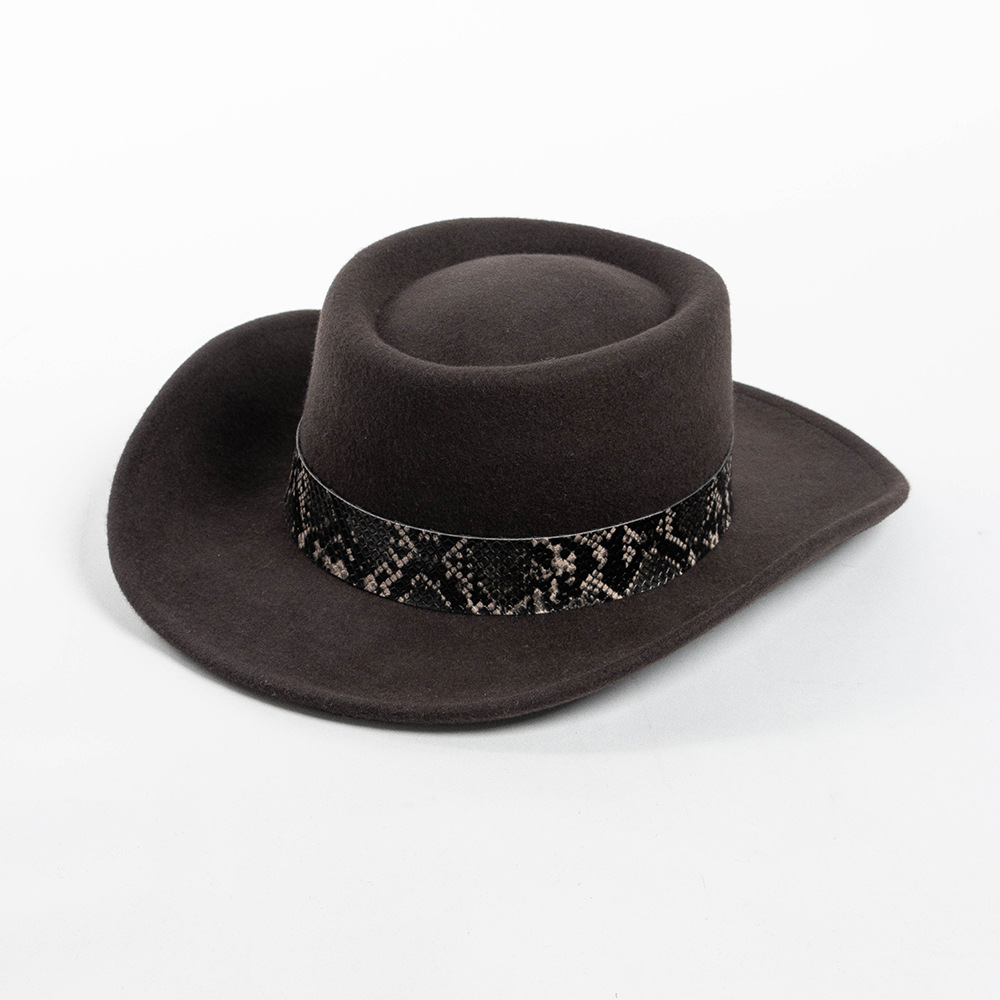Wool Top With Snake-pattern Trim Felt Hat Pork Pie Cap Wide-brimmed Winter Hat photo 2