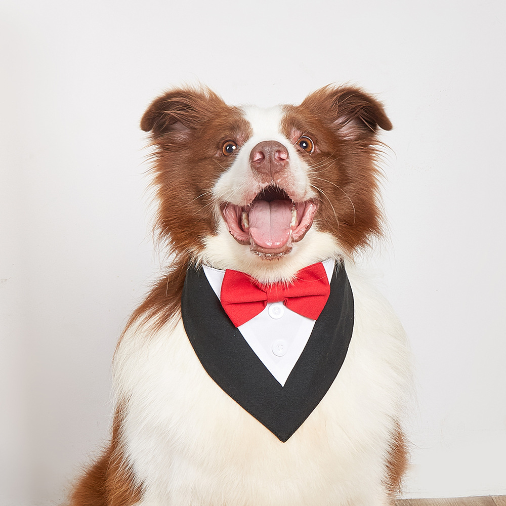 Cotton Velcro Pet Triangular Bandage photo 1