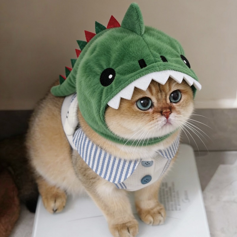 Pet Cat Dinosaur Hooded Warm Hat photo 3
