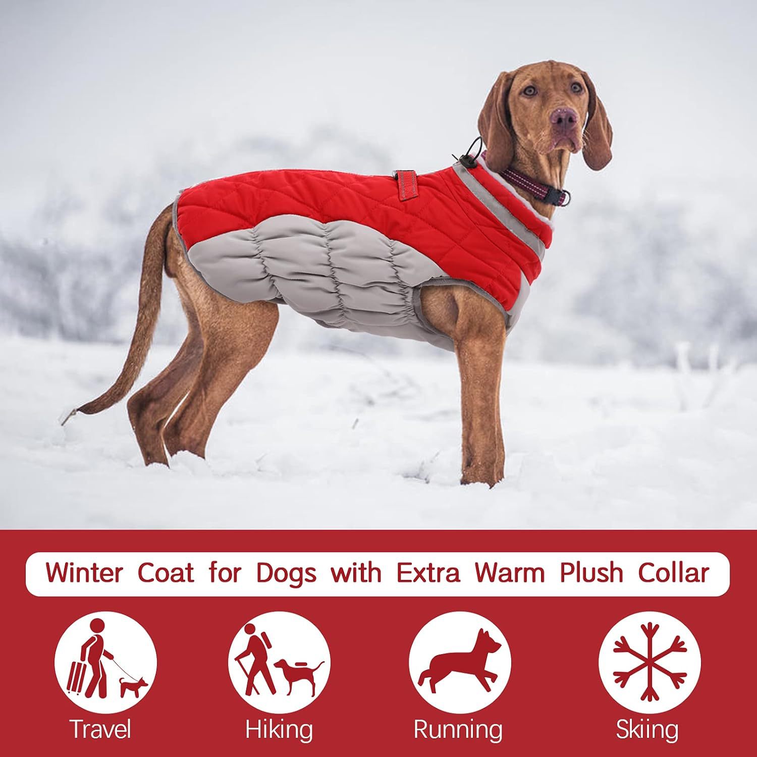 Pet Clothing Dog Padded Coat Winter Windproof Warm Dog Padded Coat photo 1