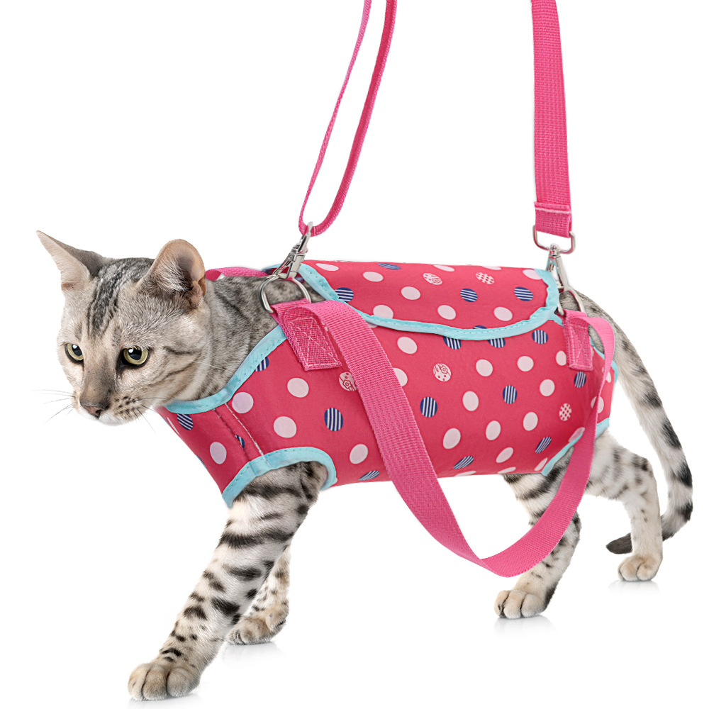 Small Single-shoulder Breathable Crossbody Dog Carrier For Pet Outings photo 2