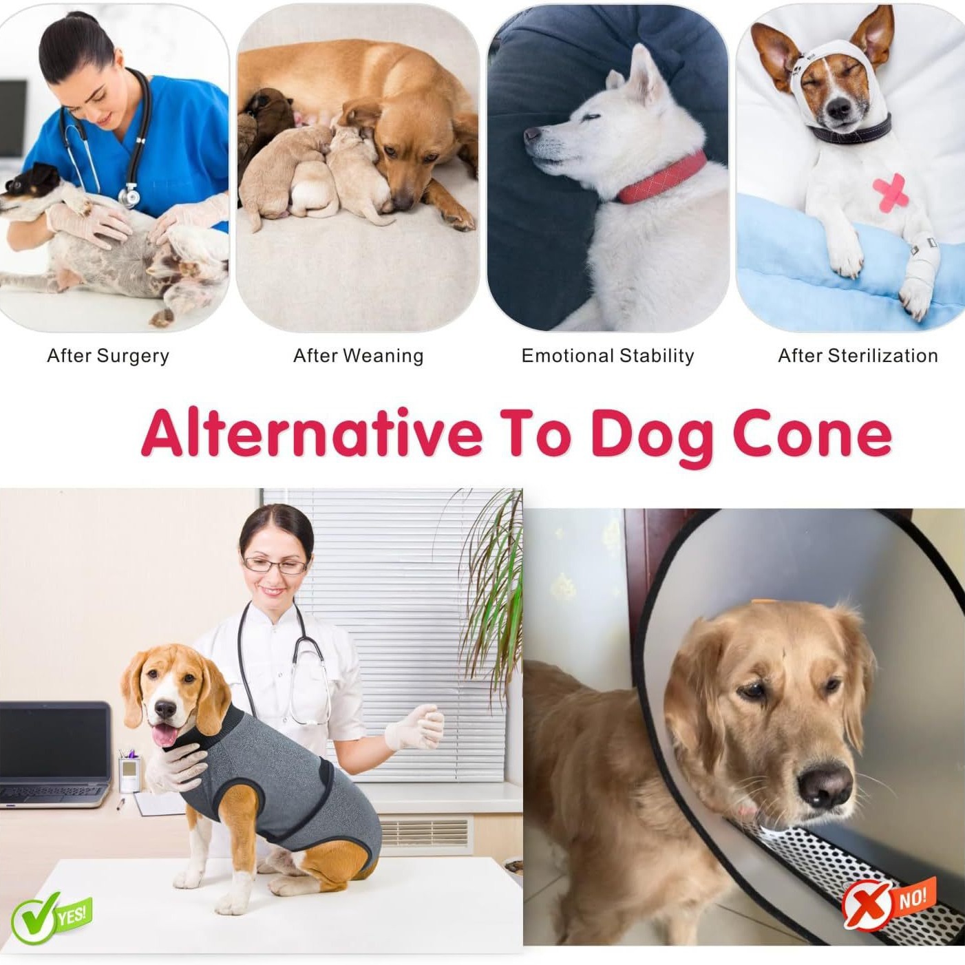 Cross-border E-commerce Amazon Bestseller Pet Spayingneutering Recovery Suit Dog Menstrual Pants To Prevent Licking And Avoid Wound Infection photo 5